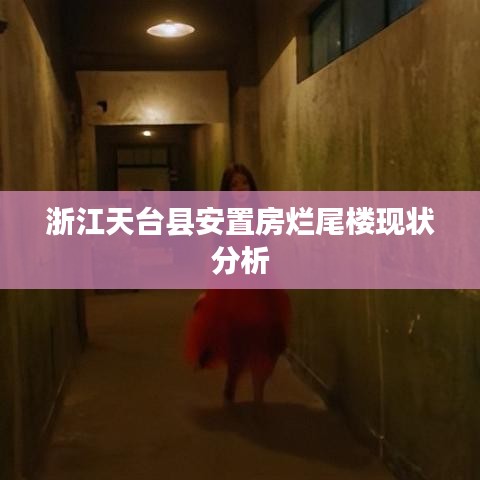 浙江天台县安置房烂尾楼现状分析