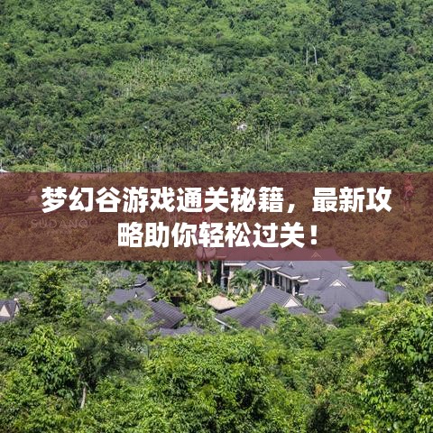 梦幻谷游戏通关秘籍，最新攻略助你轻松过关！