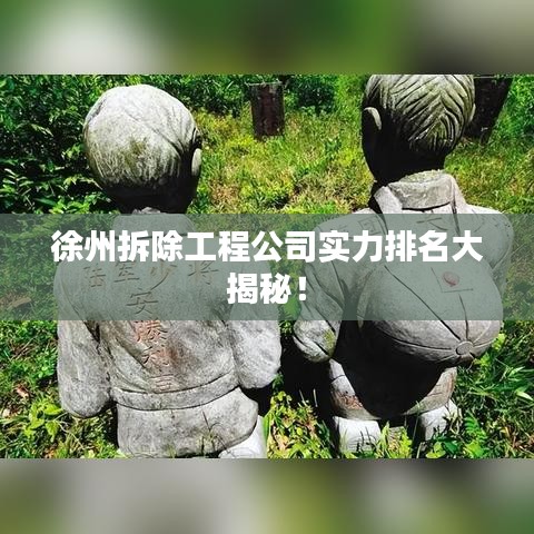 徐州拆除工程公司实力排名大揭秘！