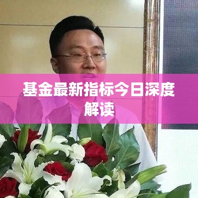 基金最新指标今日深度解读