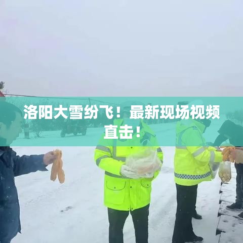 洛阳大雪纷飞！最新现场视频直击！
