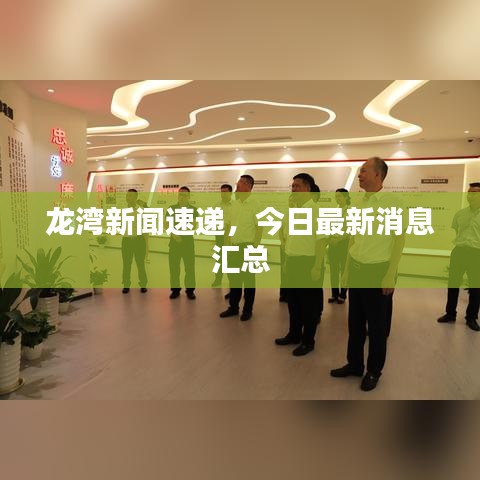龙湾新闻速递，今日最新消息汇总