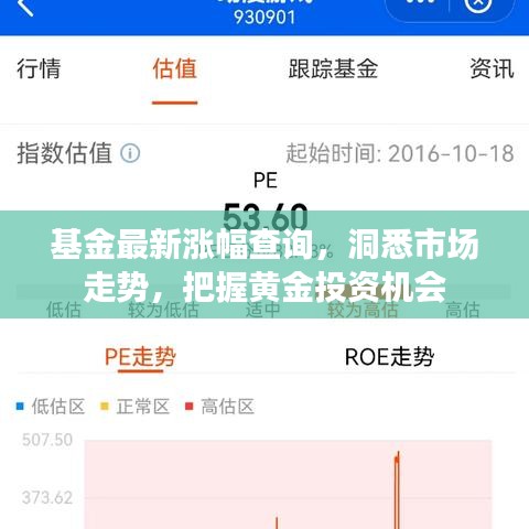 基金最新涨幅查询，洞悉市场走势，把握黄金投资机会