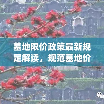 墓地限价政策最新规定解读，规范墓地价格，保障民众权益