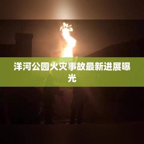 洋河公园火灾事故最新进展曝光