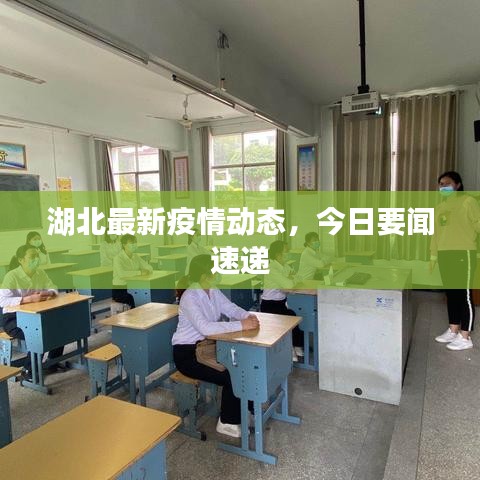 湖北最新疫情动态，今日要闻速递