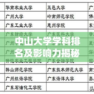 中山大学学科排名及影响力揭秘，全球视野下的卓越表现