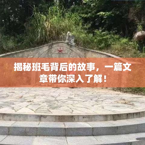 揭秘班毛背后的故事，一篇文章带你深入了解！