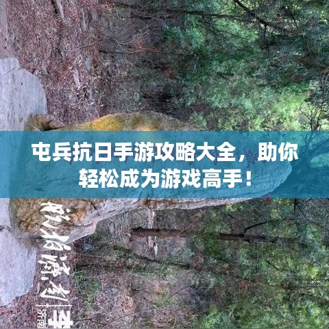 屯兵抗日手游攻略大全，助你轻松成为游戏高手！