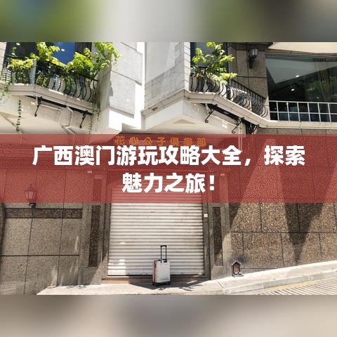 广西澳门游玩攻略大全，探索魅力之旅！