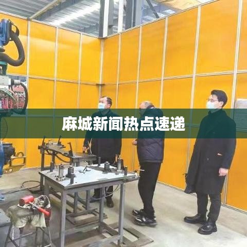 麻城新闻热点速递