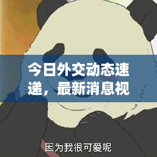 今日外交动态速递，最新消息视频报道独家呈现