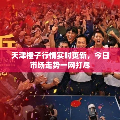 天津橙子行情实时更新，今日市场走势一网打尽