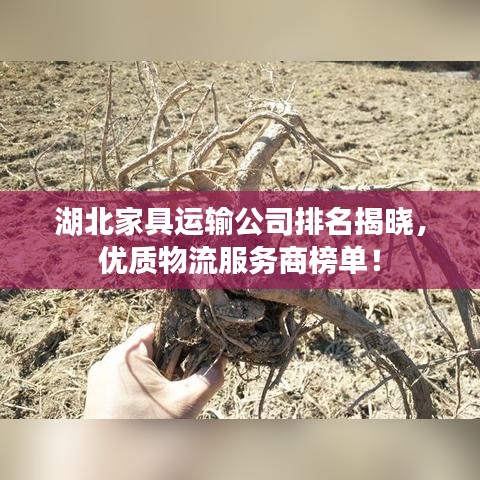 湖北家具运输公司排名揭晓，优质物流服务商榜单！