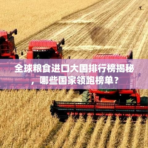 全球粮食进口大国排行榜揭秘，哪些国家领跑榜单？