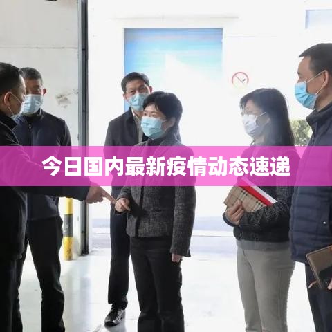 今日国内最新疫情动态速递
