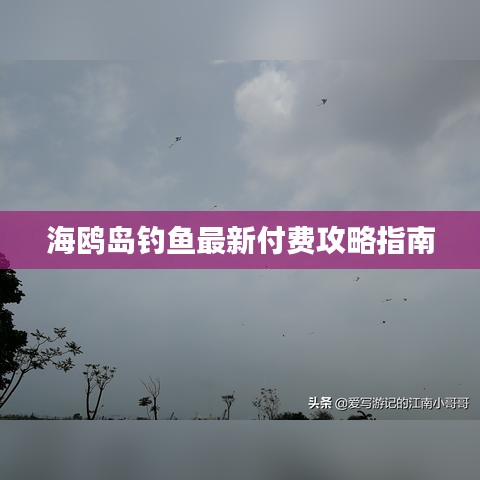 海鸥岛钓鱼最新付费攻略指南