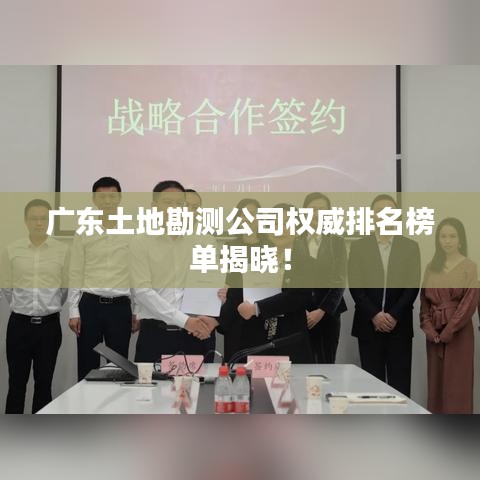 云龙井蛙 第2页