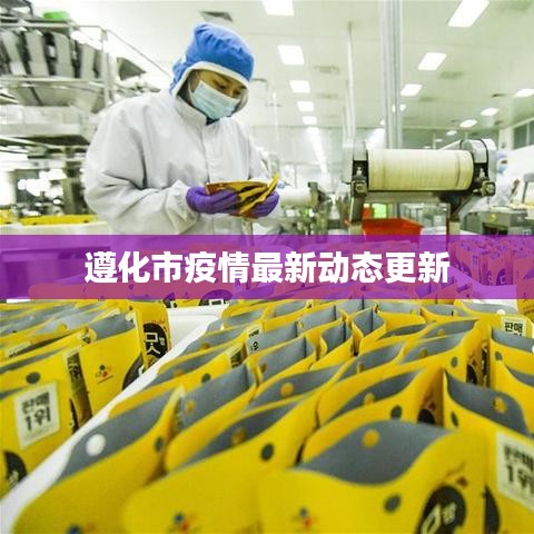 遵化市疫情最新动态更新