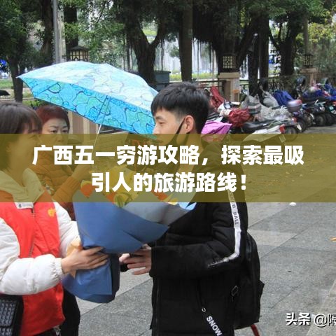 钗荆裙布 第2页