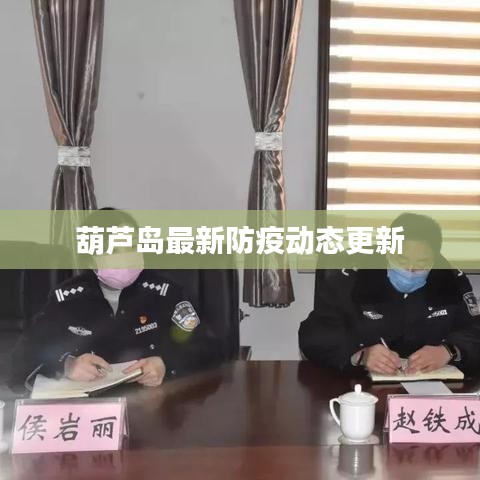 葫芦岛最新防疫动态更新