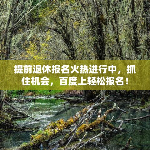 提前退休报名火热进行中，抓住机会，百度上轻松报名！