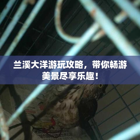 联系我们 第127页