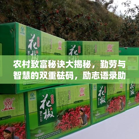 农村致富秘诀大揭秘，勤劳与智慧的双重砝码，励志语录助你财源滚滚！