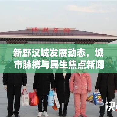 新野汉城发展动态，城市脉搏与民生焦点新闻头条速递