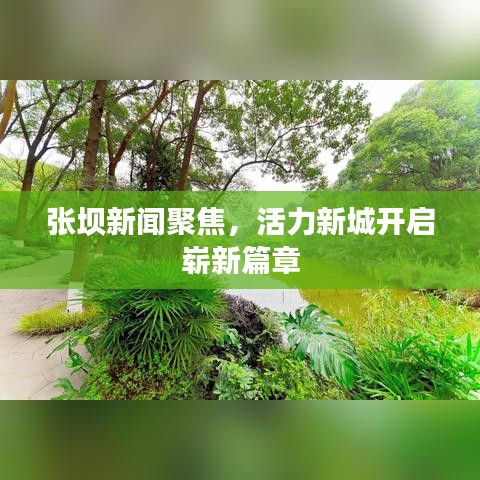 张坝新闻聚焦，活力新城开启崭新篇章