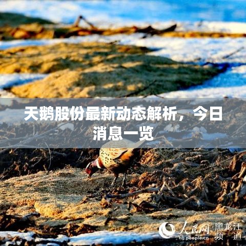 就此而别 第2页
