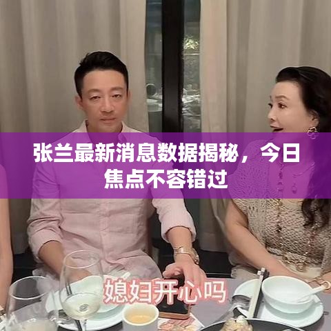 张兰最新消息数据揭秘，今日焦点不容错过