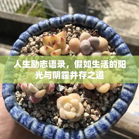 人生励志语录，假如生活的阳光与阴霾并存之道