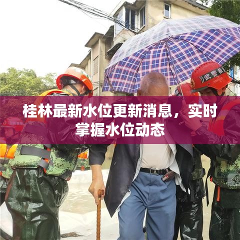 桂林最新水位更新消息，实时掌握水位动态
