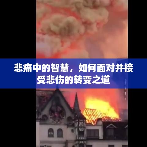 悲痛中的智慧，如何面对并接受悲伤的转变之道