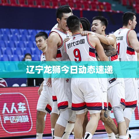 辽宁龙狮今日动态速递