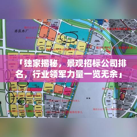远山芙蓉 第2页