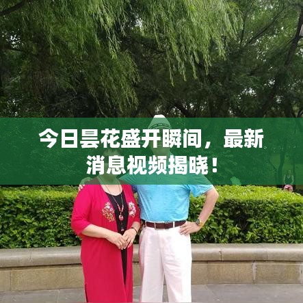 今日昙花盛开瞬间，最新消息视频揭晓！