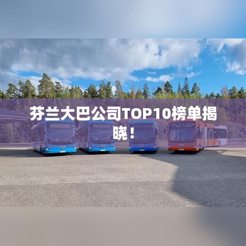 芬兰大巴公司TOP10榜单揭晓！