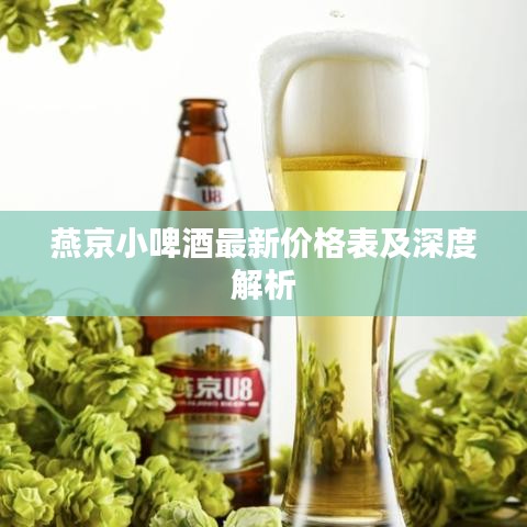 燕京小啤酒最新价格表及深度解析