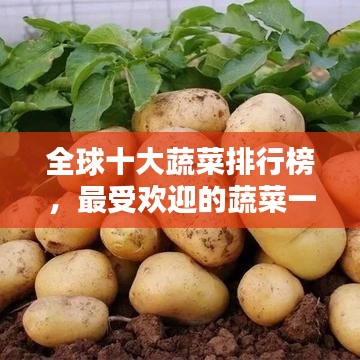 全球十大蔬菜排行榜，最受欢迎的蔬菜一览