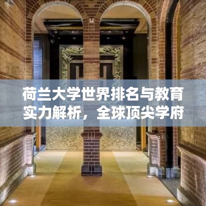 荷兰大学世界排名与教育实力解析，全球顶尖学府一探究竟！