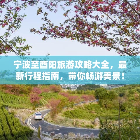 宁波至酉阳旅游攻略大全，最新行程指南，带你畅游美景！