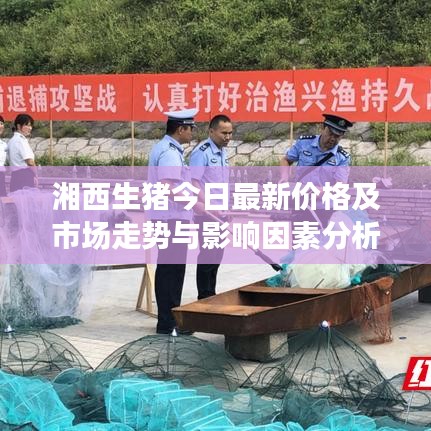 湘西生猪今日最新价格及市场走势与影响因素分析