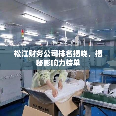 松江财务公司排名揭晓，揭秘影响力榜单