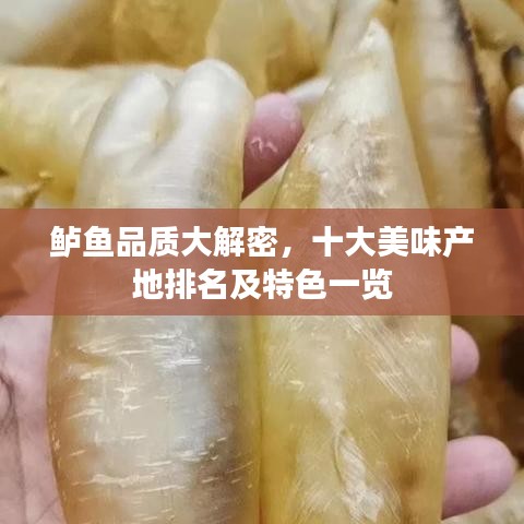 鲈鱼品质大解密，十大美味产地排名及特色一览