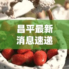 昌平最新消息速递，今日动态更新通知