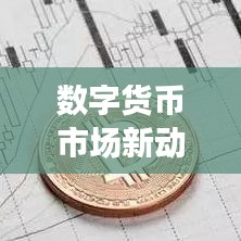数字货币市场新动态深度解读，今日币圈最新资讯视频汇总