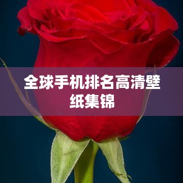 全球手机排名高清壁纸集锦