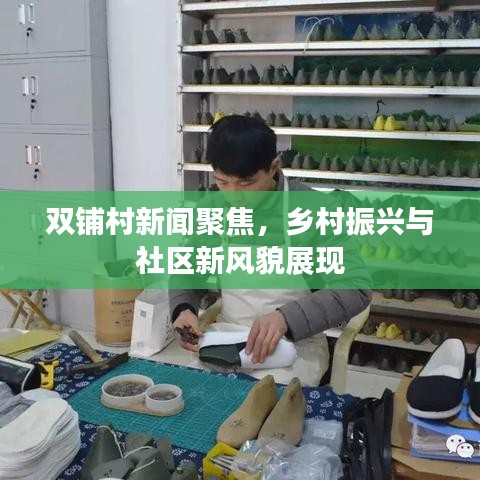 双铺村新闻聚焦，乡村振兴与社区新风貌展现